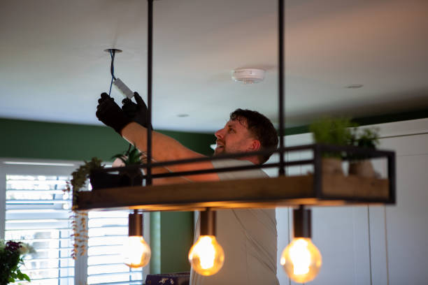 Best Home Electrical Repair  in Homer Glen, IL
